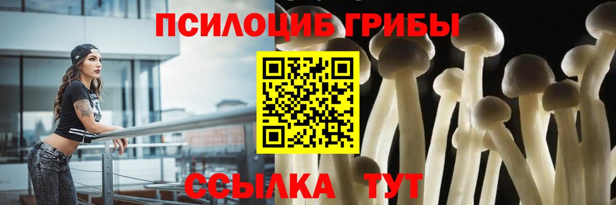 Галлюциногенные грибы мицелий Фурманов